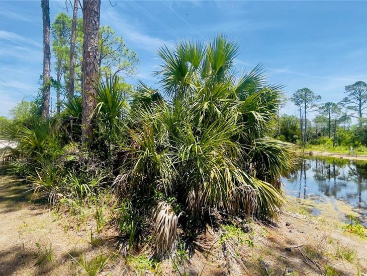 Tbd SW 101st Ln, Cedar Key, FL 32625