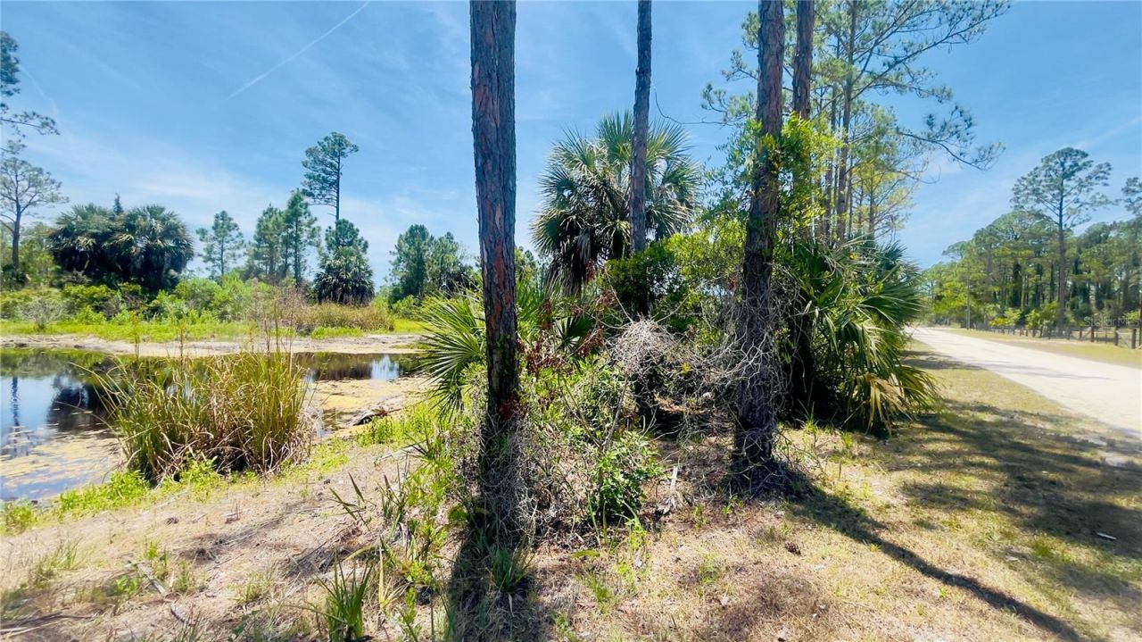 Tbd SW 101st Ln, Cedar Key, FL 32625 Photo