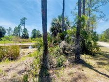 Tbd SW 101st Ln, Cedar Key, FL 32625