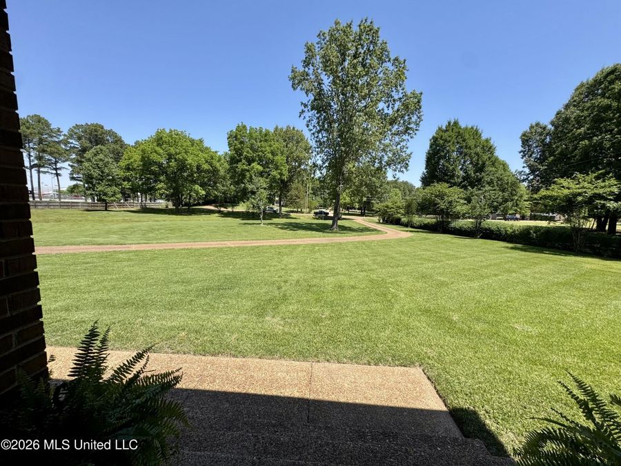 Property Image 59