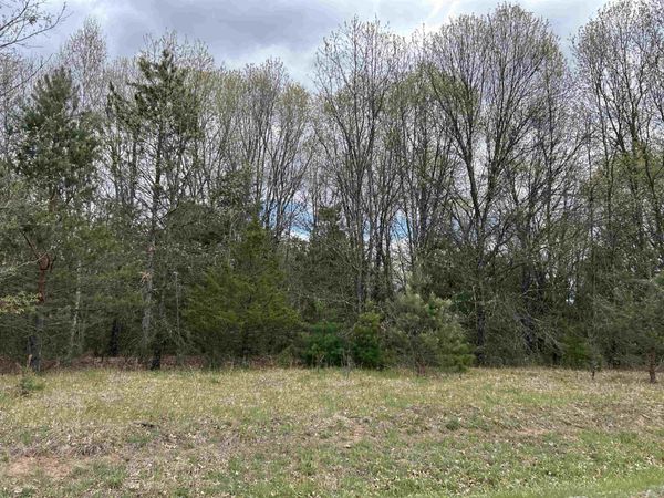 Lot 1 Czech Lane, Neshkoro, WI 54960