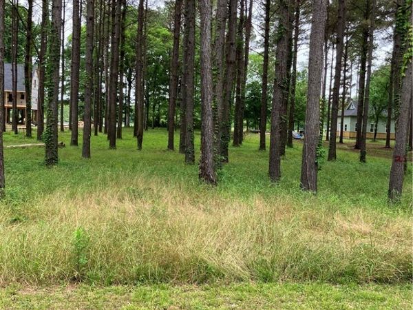 LOT 29 Black Warrior Bayou, Akron, AL 35441