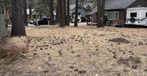 2495 Chris Ave, South Lake Tahoe, CA 96150 Photo