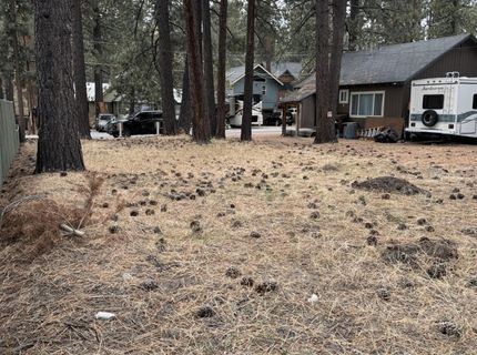 2495 Chris Ave, South Lake Tahoe, CA 96150 Photo