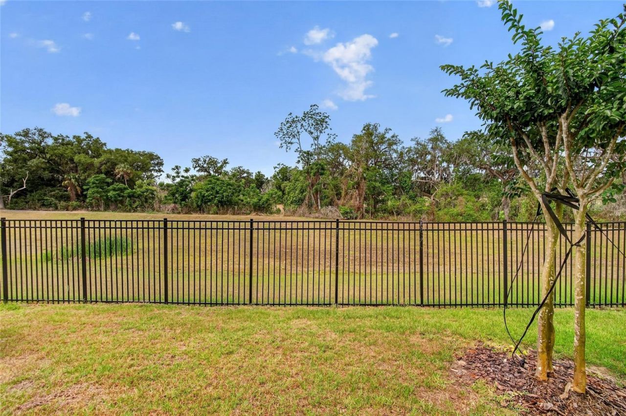 7050 Ripple Pond Loop, Zephyrhills, FL 33541 Photo