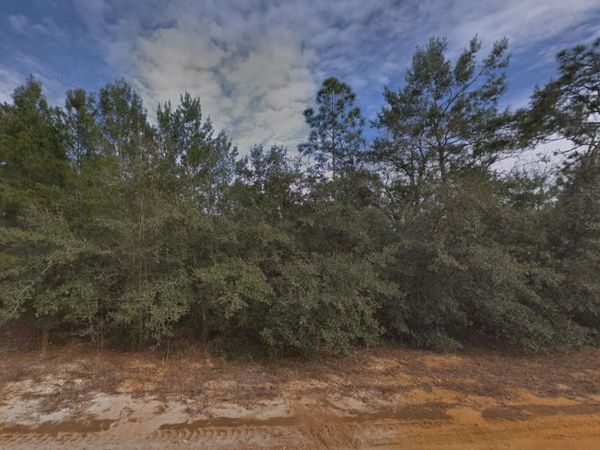 CREAGER AVENUE , INTERLACHEN, FL 32148