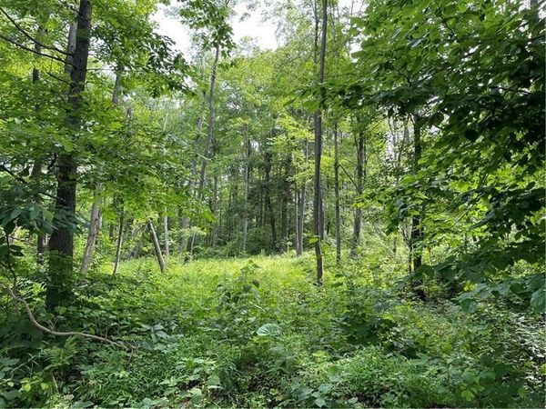 Lot 4 Cranberry Road , Confluence, PA 15424