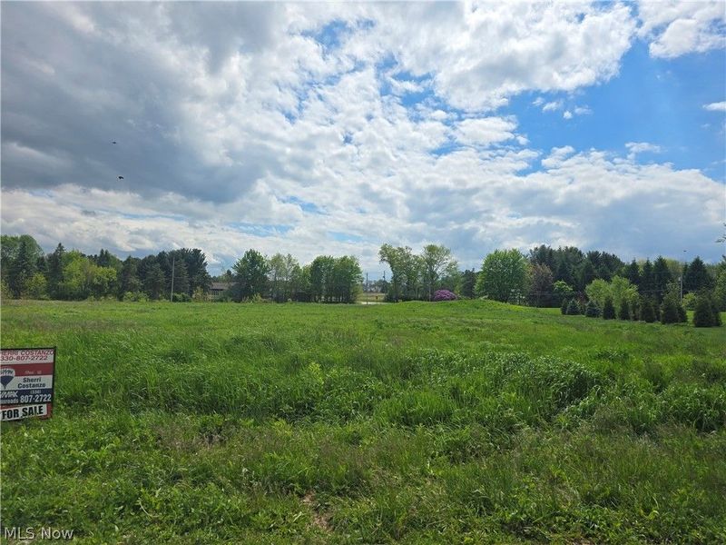 7439-S/L 48 Harps Mill Drive, Wadsworth, OH 44281 Photo 2