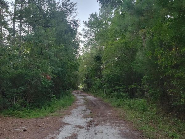 6816 Nc Hwy. 53 E, Burgaw, NC 28425