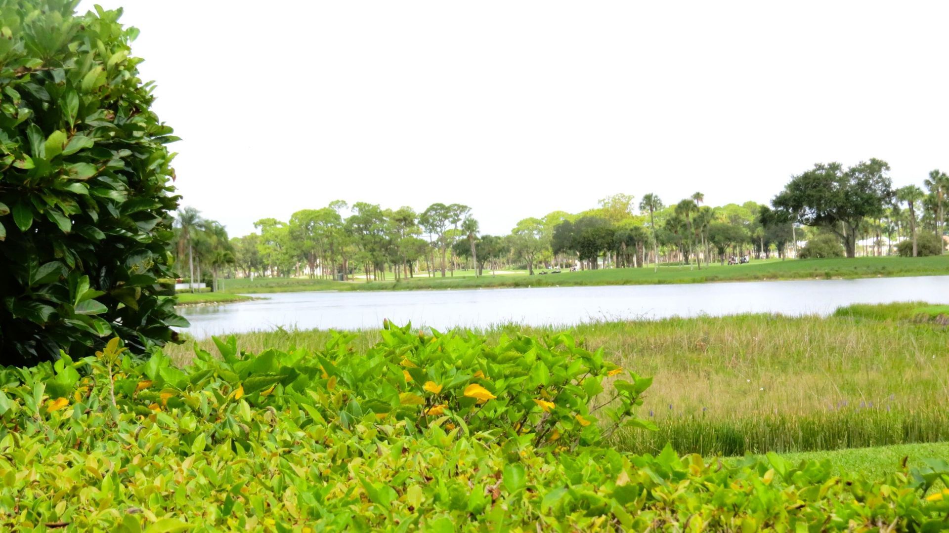 1009 Diamond Head Way, Palm Beach Gardens, FL 33418 Photo