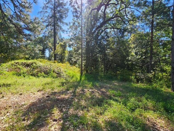 N Canyon Way Way, Colfax, CA 95713
