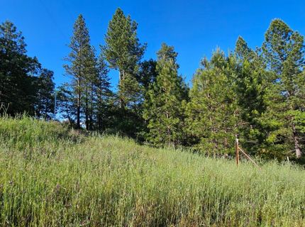 N Canyon Way Way, Colfax, CA 95713 Photo