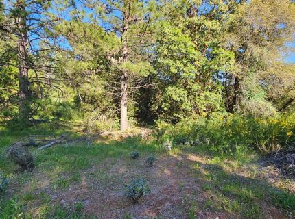 N Canyon Way Way, Colfax, CA 95713 Photo