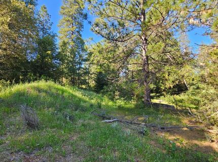 N Canyon Way Way, Colfax, CA 95713 Photo