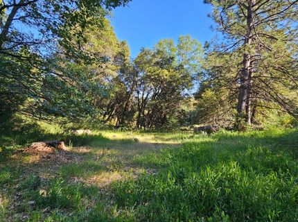 N Canyon Way Way, Colfax, CA 95713 Photo
