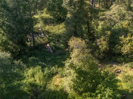 N Canyon Way Way, Colfax, CA 95713 Photo