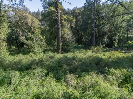 N Canyon Way Way, Colfax, CA 95713 Photo
