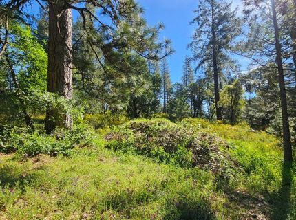 N Canyon Way Way, Colfax, CA 95713 Photo