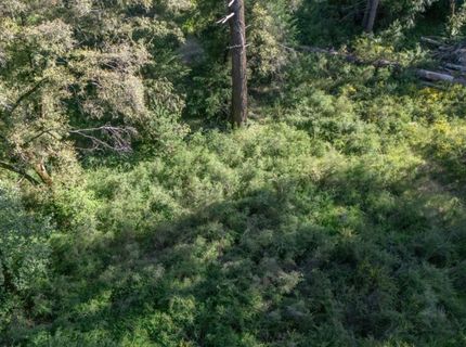 N Canyon Way Way, Colfax, CA 95713 Photo