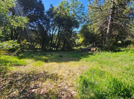 N Canyon Way Way, Colfax, CA 95713 Photo