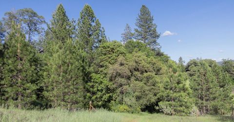 N Canyon Way Way, Colfax, CA 95713 Photo