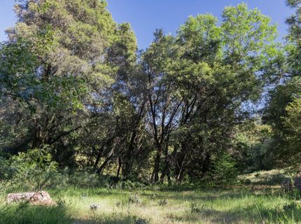 N Canyon Way Way, Colfax, CA 95713 Photo