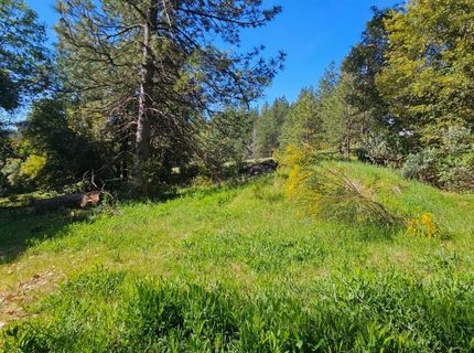 N Canyon Way Way, Colfax, CA 95713 Photo