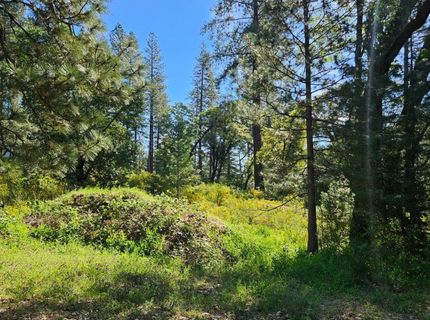 N Canyon Way Way, Colfax, CA 95713 Photo
