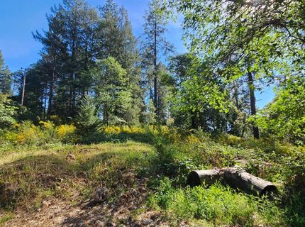 N Canyon Way Way, Colfax, CA 95713 Photo