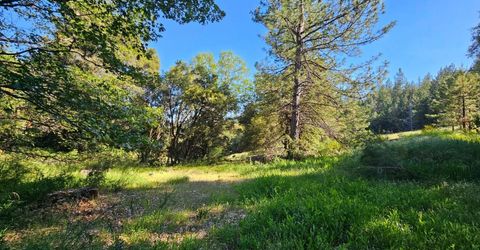 N Canyon Way Way, Colfax, CA 95713 Photo