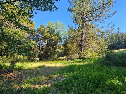 N Canyon Way Way, Colfax, CA 95713 Photo