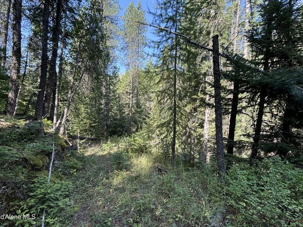 NNA Ridge Way , Sandpoint, ID 83864