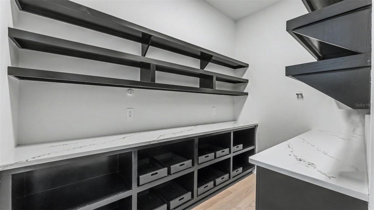 5411 Delphi Hills Circle, Lakeland, FL 33812 Photo