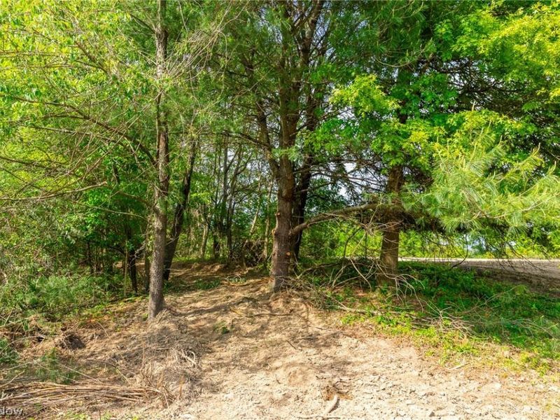5123 School House Road, Frazeysburg, OH 43822 Photo 17