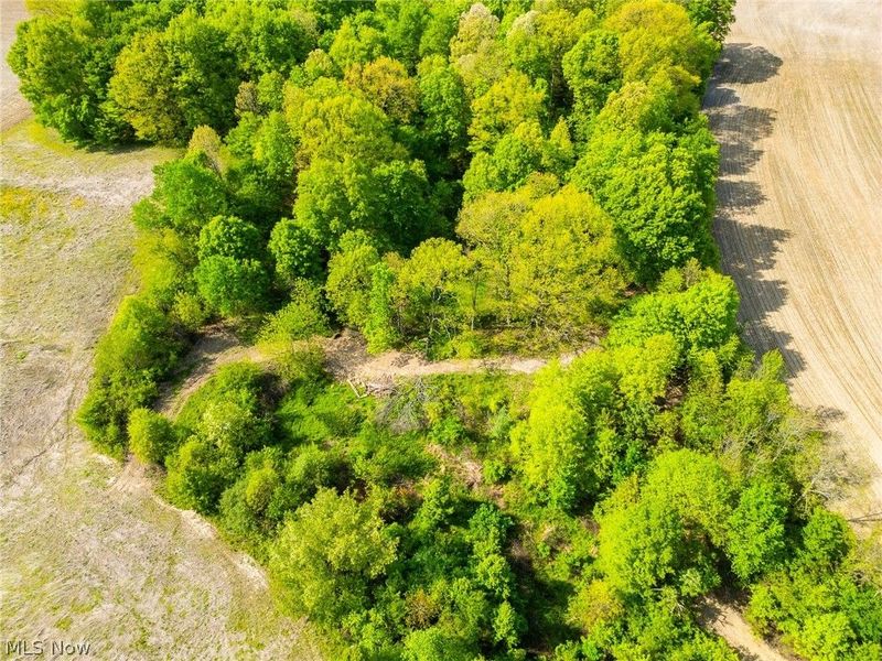 5123 School House Road, Frazeysburg, OH 43822 Photo 6