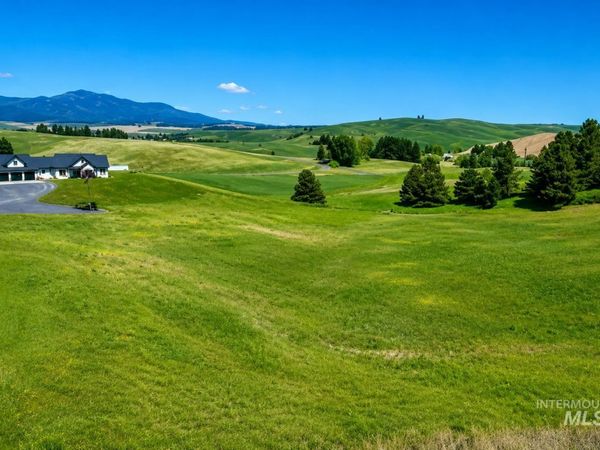 000 Capybara Lane, Moscow, ID 83843