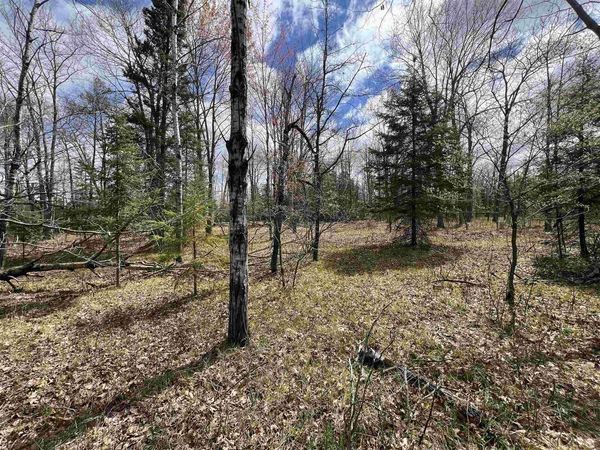 NEJEDLO ROAD, Wausaukee, WI 54177