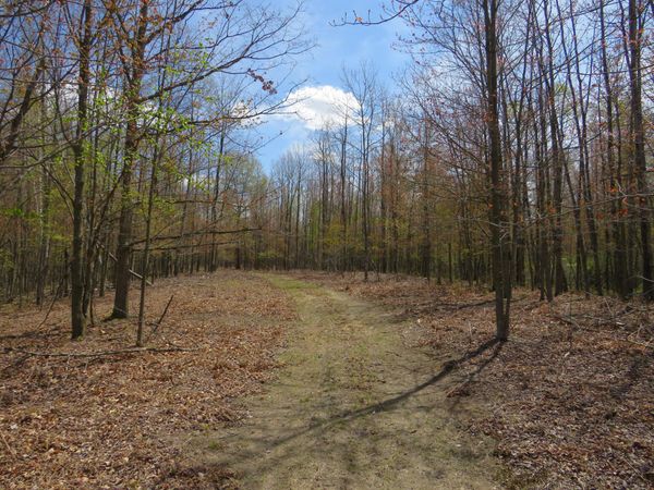 N Chippewa Road, Mount Pleasant, MI 48858