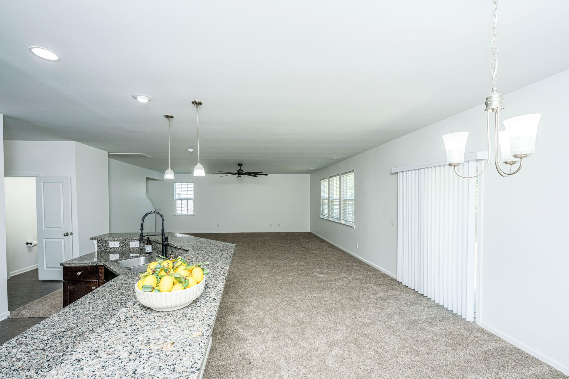 7774 High Maple Circle Photo 10