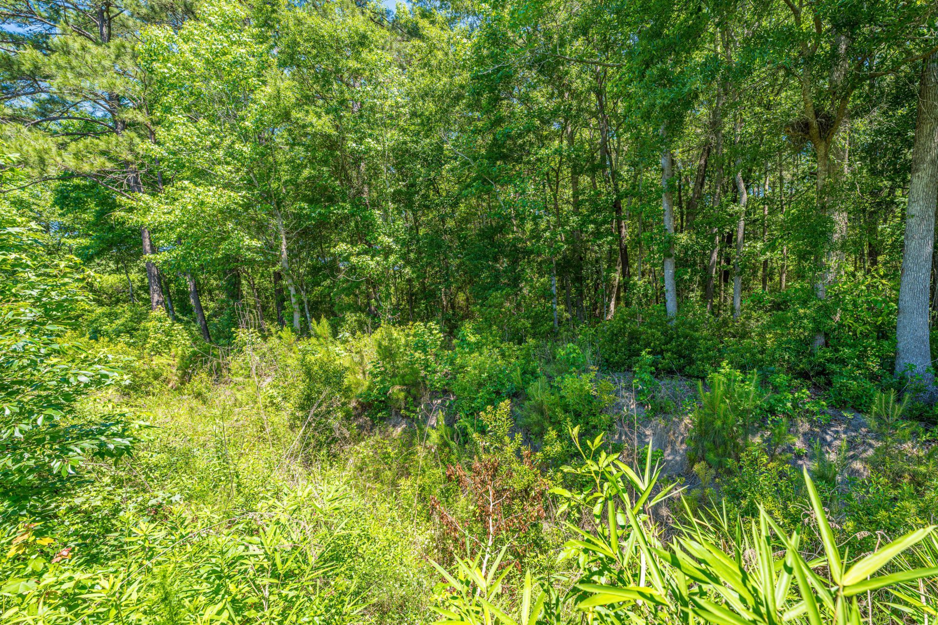 7774 High Maple Circle Photo 42