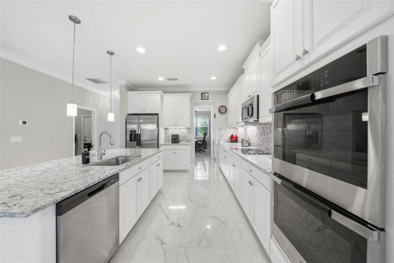 31646 Colada Drift Way, Wesley Chapel, FL 33545 Photo