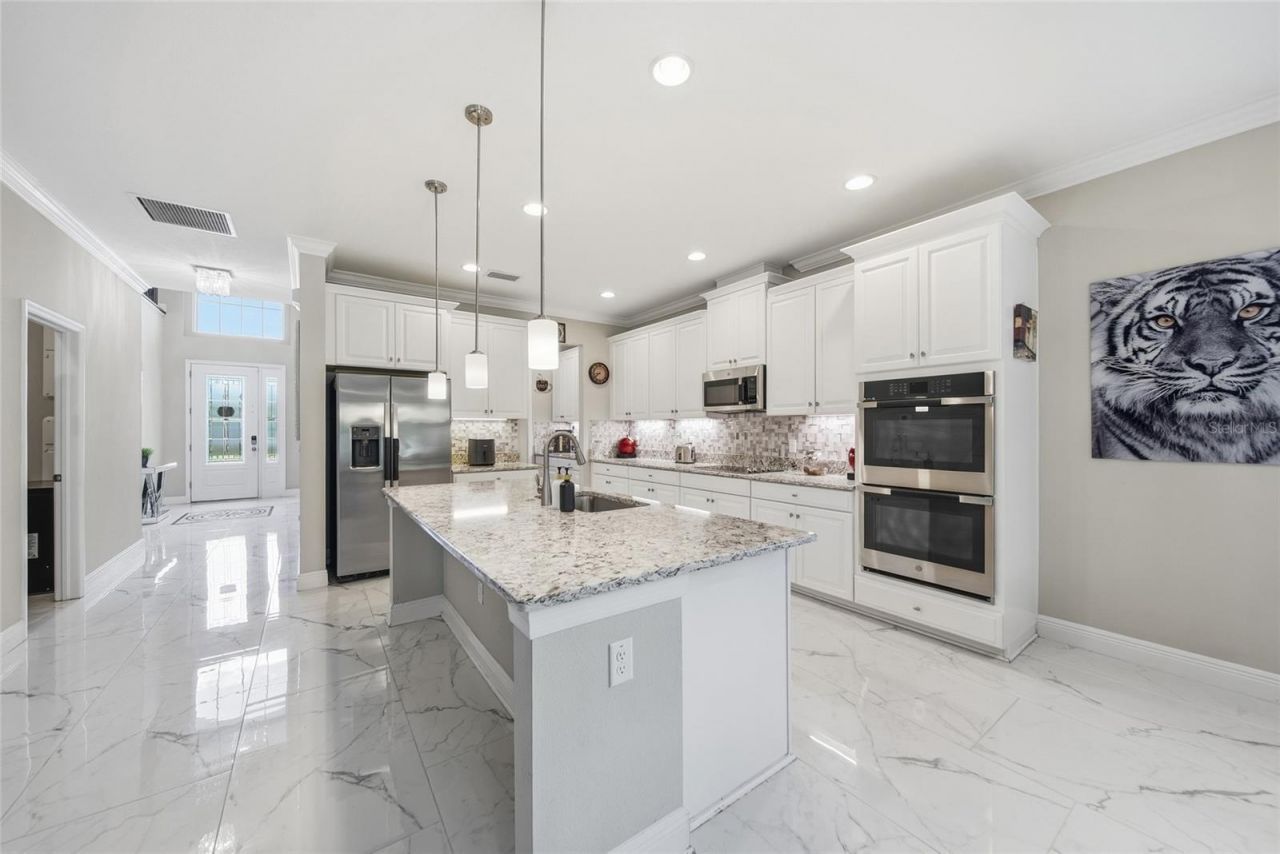 31646 Colada Drift Way, Wesley Chapel, FL 33545 Photo