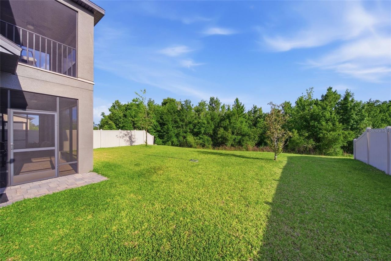 31646 Colada Drift Way, Wesley Chapel, FL 33545 Photo