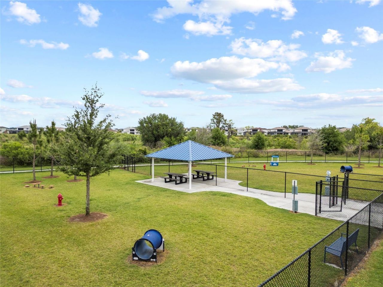 31646 Colada Drift Way, Wesley Chapel, FL 33545 Photo