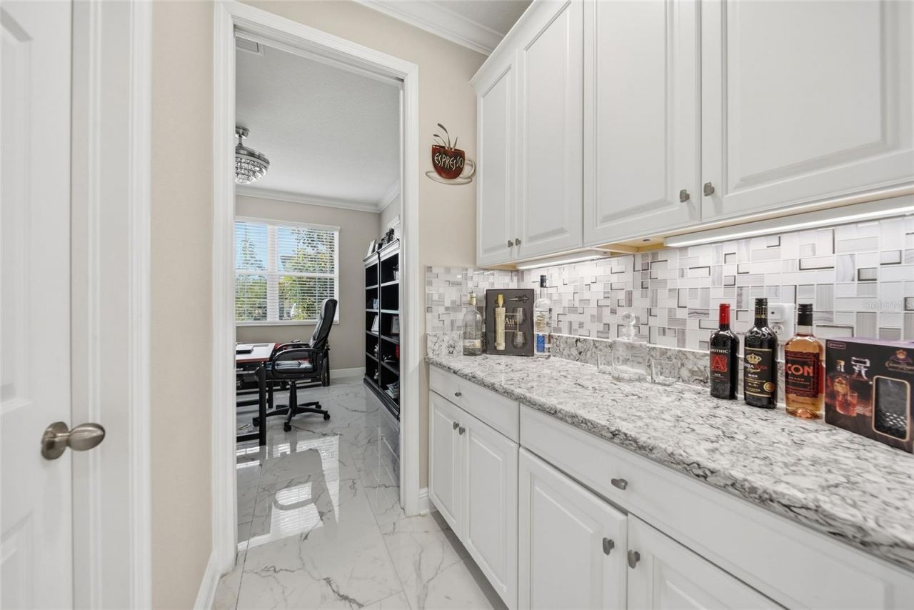 31646 Colada Drift Way, Wesley Chapel, FL 33545 Photo