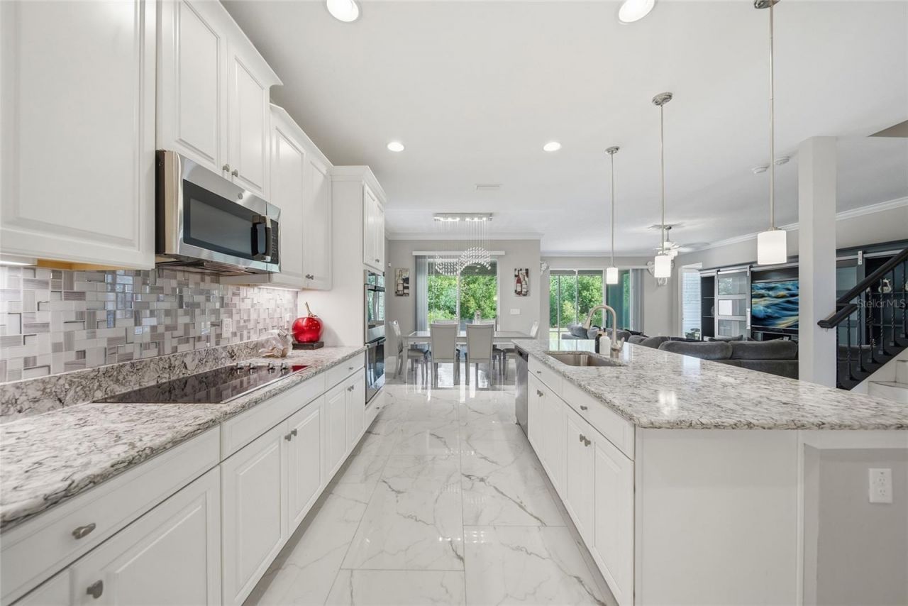 31646 Colada Drift Way, Wesley Chapel, FL 33545 Photo