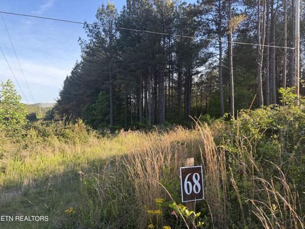 68 Black Bear Lane, Sunbright, TN 37872