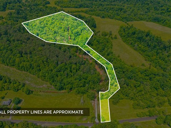 1 Budds Creek Road, Unit Lot 1, Palmyra, TN 37142