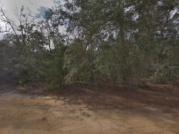DAVID AVENUE , INTERLACHEN, FL 32148
