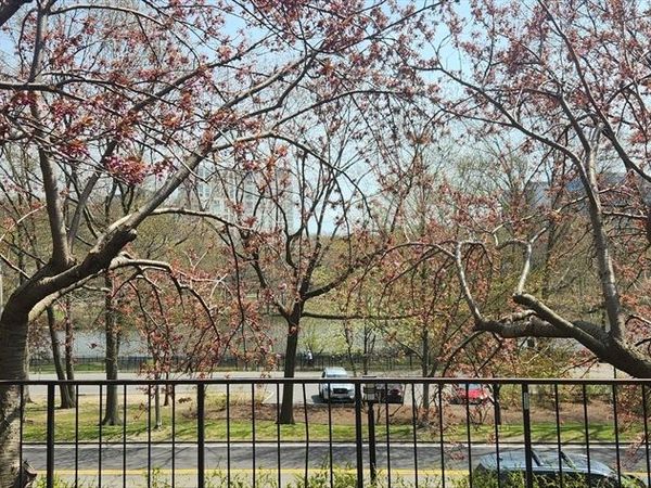 77 Pond Ave, Unit 507, Brookline, MA 02445